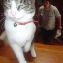 벌말로129번길 이미지