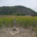 형산강자전거길 이미지