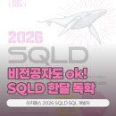 [HD] SQL개발자 (SQLD) 자격증 따기 - 기출문제 | 2026 sqld 책 추천 | 비전공자도 ok! 이지패스 고래책으로 SQL 개발자 단기 합격