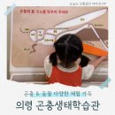 의령도서관 | 의령곤충생태학습관 아이랑 가볼만한곳 후기 (실내 체험 추천)