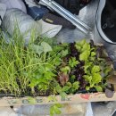 하늘농약사 이미지