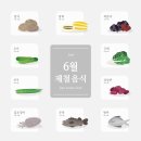 현대계절음식 이미지