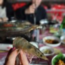 진경이네 이미지