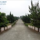 강정동-20 이미지