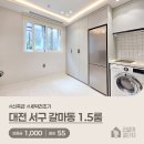 갈마1동 행정복지센터 네이버블로그
