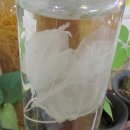 전주시골밥상 이미지