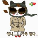 사추기 이미지