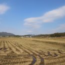 유구농장 이미지