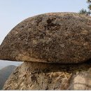 노송축사 이미지