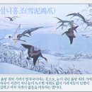 설니홍조(雪泥鴻爪) 이미지