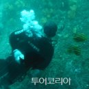 제주유유자적 이미지