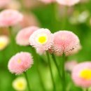 베이비시터 자격증과정 이미지