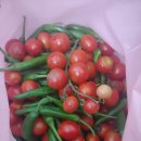 꼬망세어린이집 이미지