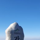 2021-06-0007