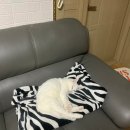 나래호프 | 낭낭한일상 (16)