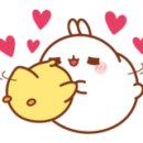 MS휘트니스클럽 이미지