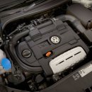 홍이 골프 이미지