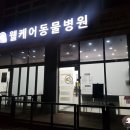 웰케어동물병원 이미지