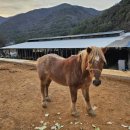 남해힐링타임 이미지