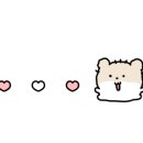 BS안경점 이미지