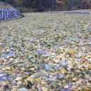 화전초등학교 이미지