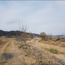 무학천 Daum카페