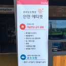 도도보노펜션 | 경북 펜션 추천 :: 경주 도도펜션, 23M 인피니티 풀과 개별 스파까지!