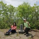 무릉도원면-38 이미지