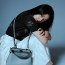 펜디 카카오 검색결과