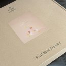 블루아짐 | [일상기록] 매일 인생 몸무게 갱신중 I 남편생일 I 단발병 치료 완료 I 임산부 넘어짐 이슈 I 2차정밀...