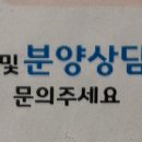13번째고양이