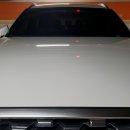 Art Zombie 이미지