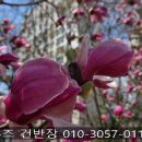 효성해링턴 플레이스 | 공주시 효성해링턴 주방후드소화기 교체로 다녀왔습니다