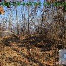 여주-0851 이미지