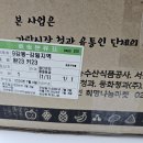 24.07.04 얘들아 과일먹자 19회차-완숙토마토&키위 이미지