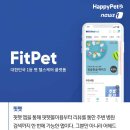 이담펫반려동물호텔위탁센터 | 동물 키우기 도전기 ⑦탄 혼자 둘 수 없을 때? 반려동물 돌봄 서비스 완전 정리 (펫시터, 호텔, 위탁센터)