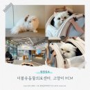 더블유인천심장동물병원