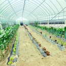 서현의료재단 이미지