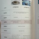 안녕,안경 이미지