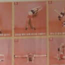 웰리스스포츠센터 이미지