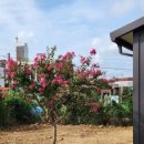 미나반점 이미지