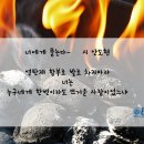 레옹안경콘택트 이미지