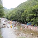 경남 양산 정족산(700m) 이미지