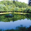 그린농원식당 이미지