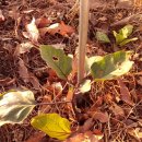 여주-0516 이미지