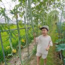 명주농장 이미지