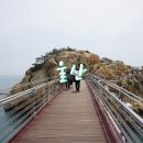 커피나뜨래 | 울산 여행 2일차 후기 / 대왕암공원, 커피나뜨래, 장생포고래문화마을, 함양집, 외고산 옹기마을, 울산...