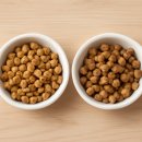 24시잠실ON동물의료센터 이미지