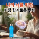 시너지커피 - 동작구 노량진로6길 2 | 시너지커피