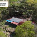 소나무와황토민박 | 백반기행 보은 버섯전골 정일우